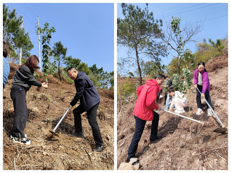 光影魔術手拼圖